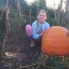 Kirkcudbright Scout Hall pumpkin festival raises more than £450