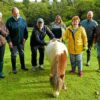 Horse project will improve mental health