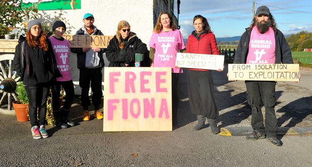 Protestors outside Dalscone Farm Fun in Dumfries on Sunday morning