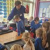 Springholm Primary pupils plant acorns from ancient forest