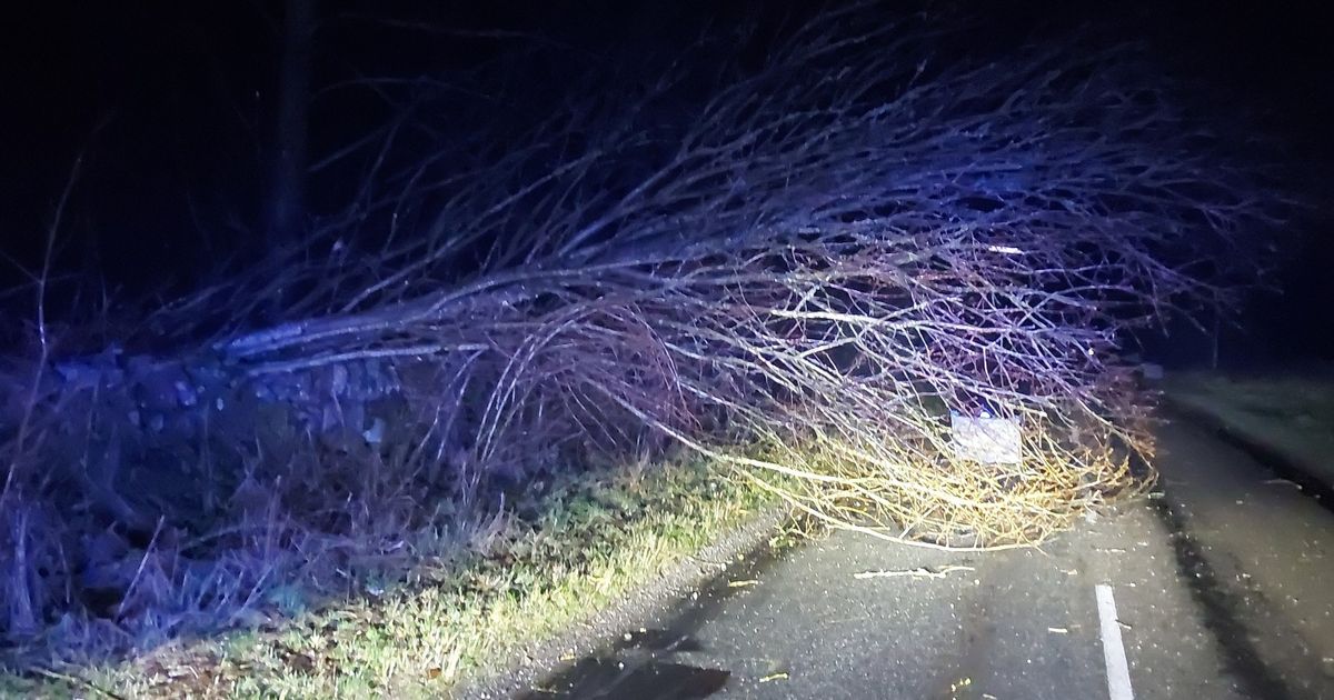 Thousands of Galloway homes left without power after Storm Jocelyn batters region