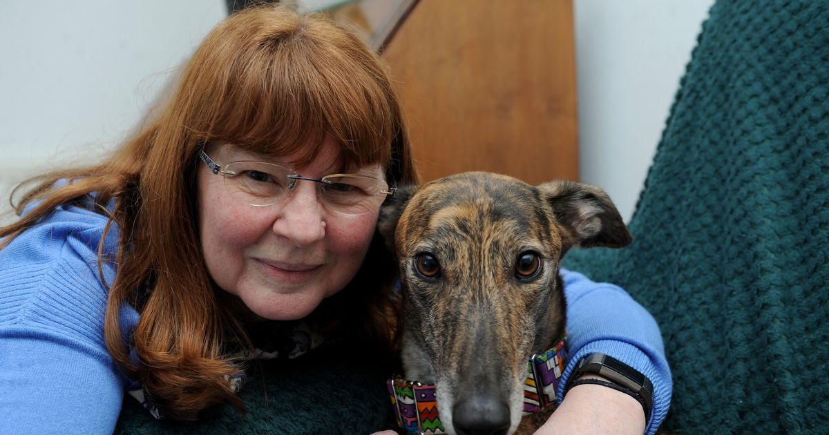 Dumfriesshire and Cumbria Greyhound Rescue rehomes 2,000th dog