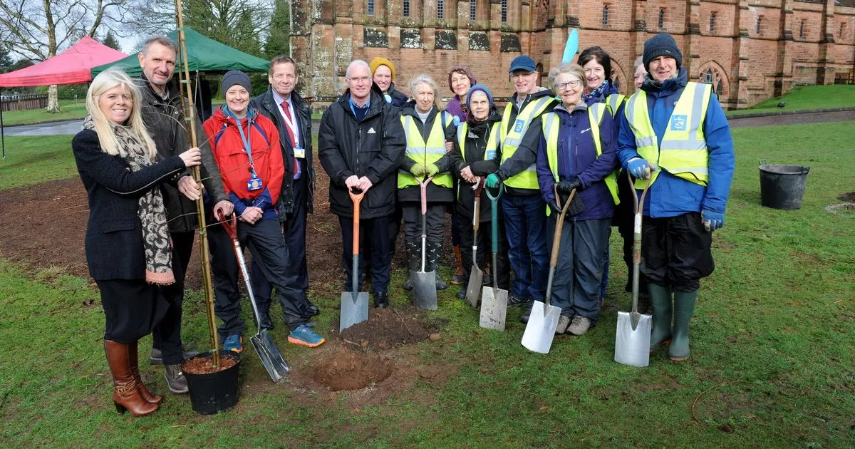 Tree planting begins on Dumfries and Galloway's Community Covid Memorial