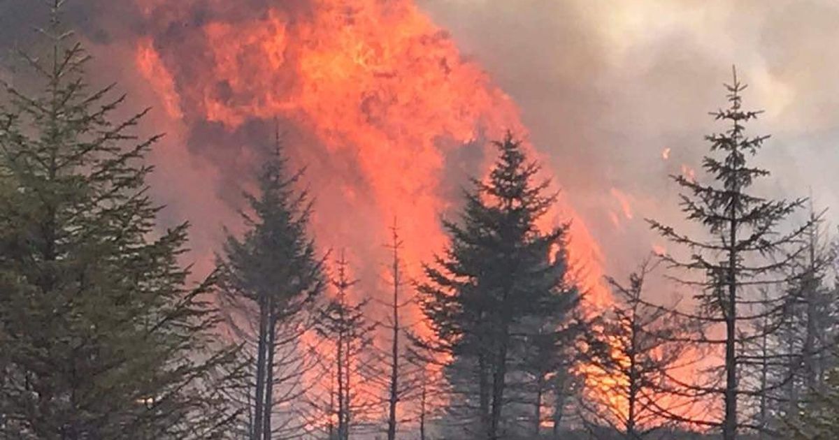 Firefighters dealt with 10 Dumfries and Galloway wildfires in 2023