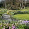 Kirkcudbright garden to open to the public for charity