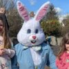 Twynholm kids have cracking time at Easter egg hunt