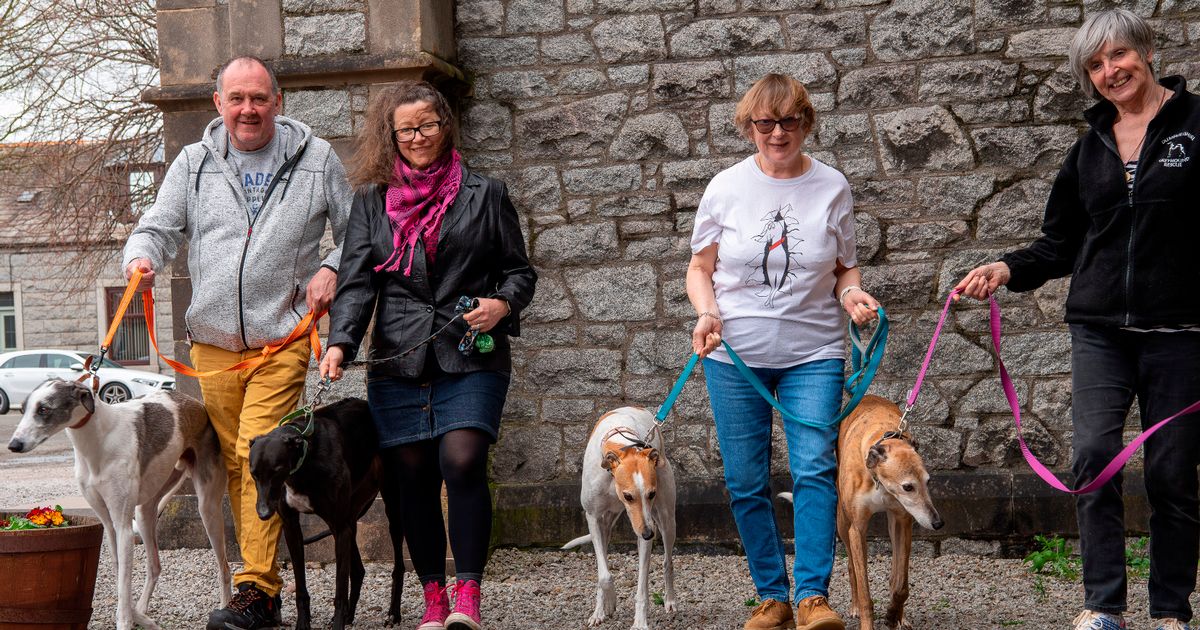 Dumfriesshire and Cumbria Greyhound Rescue boosts coffers thanks to coffee morning