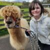 Birthday shout out to this lovely young lady who was surprised with an alpaca tr...