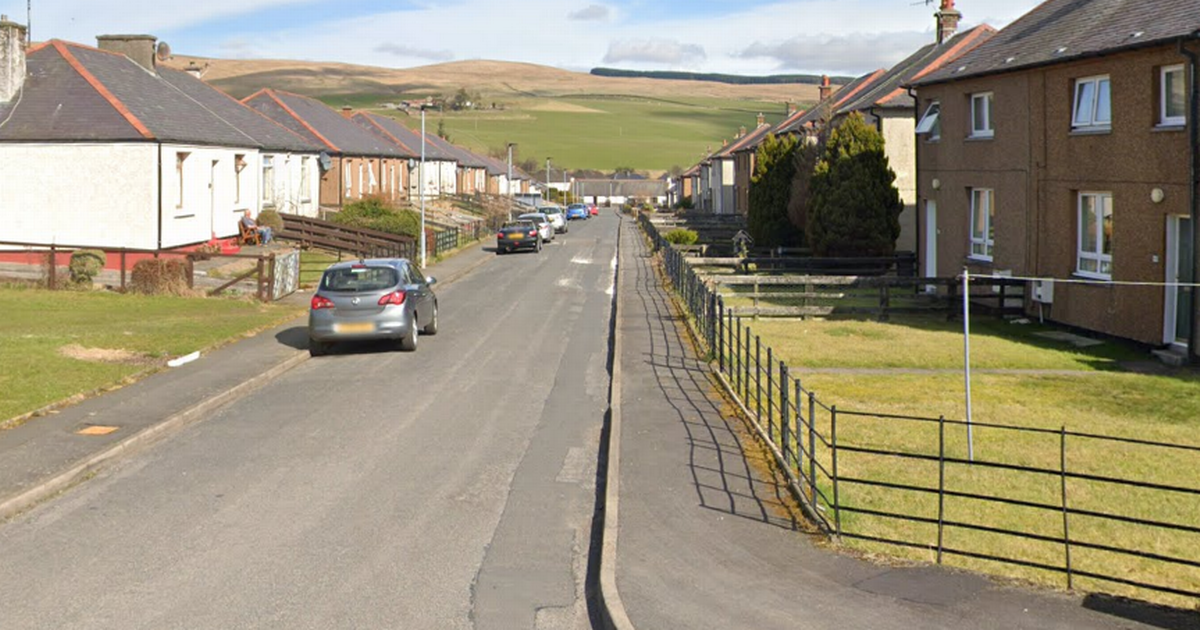 Dumfries and Galloway grandmother treated in hospital after being attacked by her own dog