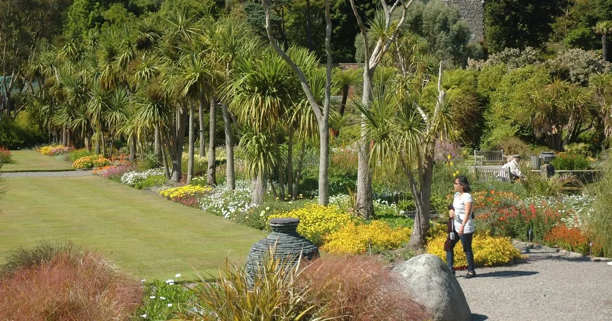 Special Dumfries and Galloway garden offers glimpse of remarkable diversity of plants at home and around the world