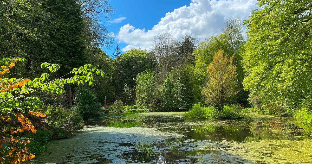 Arbigland Gardens near Kirkbean to open to the public for charity