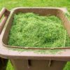 Dumfries and Galloway Council could finally launch garden waste collection service in spring 2025