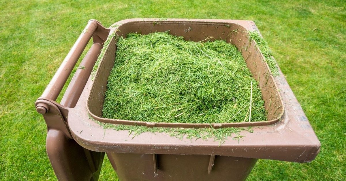 Dumfries and Galloway Council could finally launch garden waste collection service in spring 2025