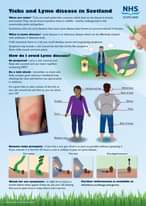 Lyme disease is one of the bacterial infections spread to humans by infected tic...