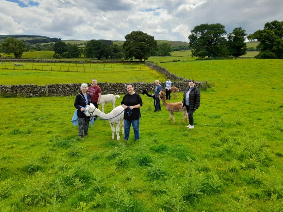 Lots of lovely holidaymakers this week and we took lots of alpacas out in the su...