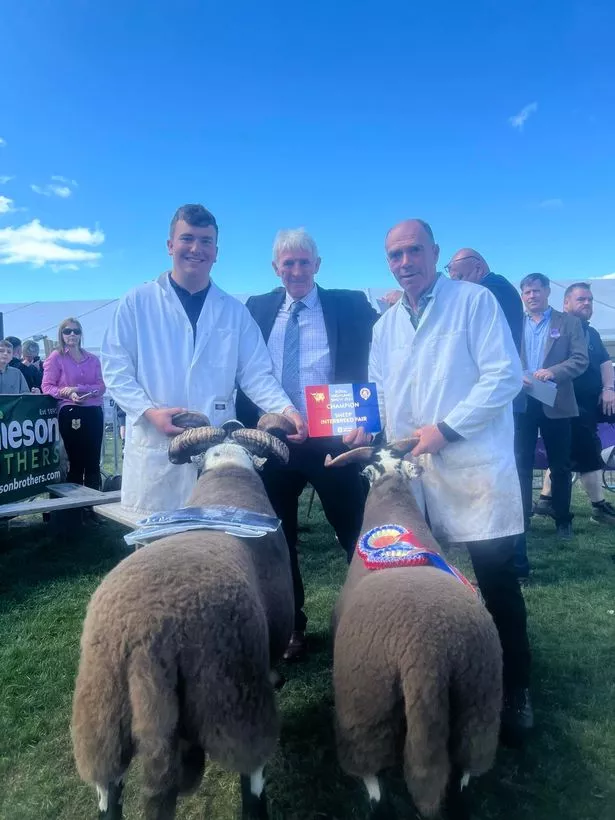The Ramsay family, Milnmark, Dalry, scooped champion and reserve in the inter-breed sheep pairs.